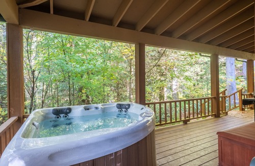 Rhododendron Cabin | 3rd night free on your stay before Aug 31st River,Hot-tub A/C