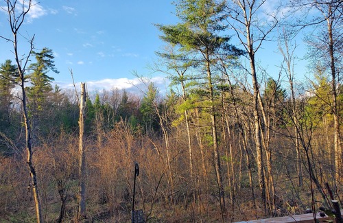 Idlewild House | 4 Bed 3 Bath Beautiful and Peaceful Riverfront Tranquility