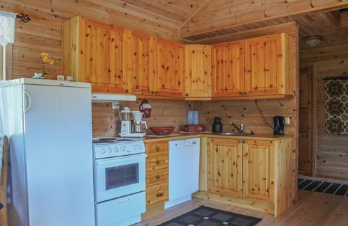Nissedal House | 4 bedroom gorgeous home in åmli
