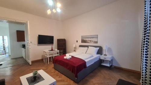 Wahring Apartment | 4 Great Apartment Near AKH - Ideal for Groups of 19