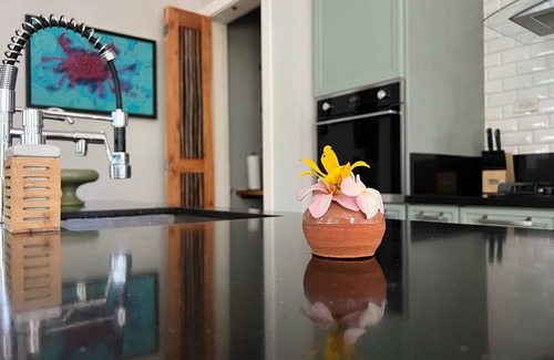 Las Escobas del Venado House | 4 guests, 2 Beds/2.5 Baths Villa in Gated Community/Beachfront Pool & Club