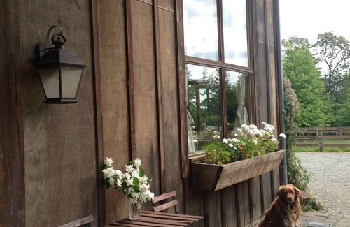 Vashon Island Apartment | 40 Acres Estate, Beach Access, Pet Friendly: Wildwood Studio