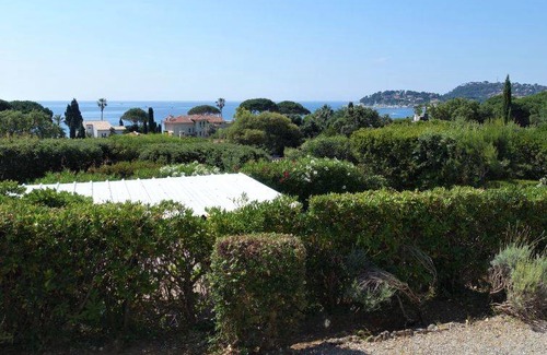 Cavaliere Apartment | 40 m² Apartment ∙ 1 bedroom ∙ 4 guests