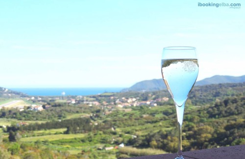 Vigne Giunche Apartment | 40 m² Apartment ∙ 1 bedroom ∙ 4 guests