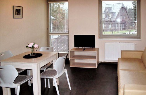 Harrachov Apartment | 40 m² Apartment ∙ 1 bedroom ∙ 5 guests