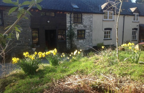 Llanbrynmair Cottage | 400 year old Welsh long house in its own grounds in stunning countryside