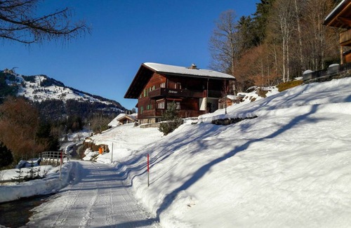Wengen Apartment | 42 m² Apartment ∙ 1 bedroom ∙ 3 guests