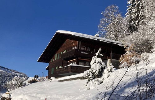 Wengen Apartment | 42 m² Apartment ∙ 1 bedroom ∙ 3 guests