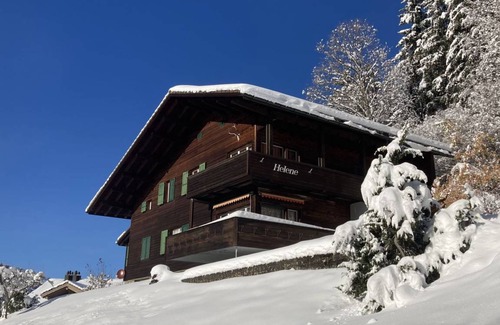 Wengen Apartment | 42 m² Apartment ∙ 1 bedroom ∙ 3 guests