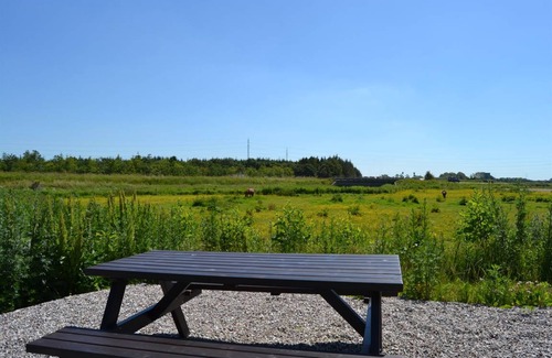 Tønder Municipality Apartment | 42 m² Apartment ∙ 1 bedroom ∙ 4 guests