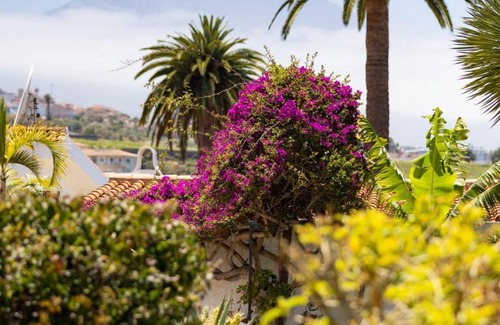 La Victoria de Acentejo Apartment | 45 m² Apartment ∙ 1 bedroom ∙ 3 guests