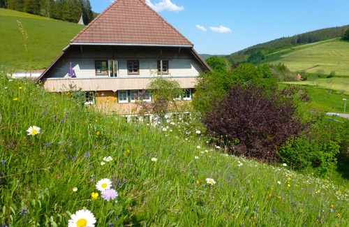Voehrenbach House | 45 m² Apartment ∙ 1 bedroom ∙ 3 guests