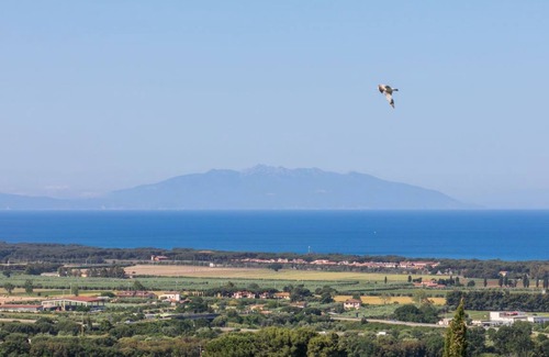 San Vincenzo Resort | 45 m² Resort ∙ 1 bedroom ∙ 4 guests