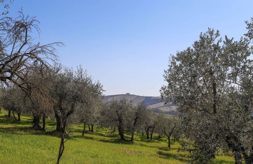 Poggiarello Villa | 45 m² Villa ∙ 1 bedroom ∙ 3 guests