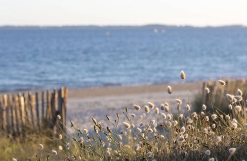 Carnac Apartment | 46 m² Apartment ∙ 1 bedroom ∙ 4 guests