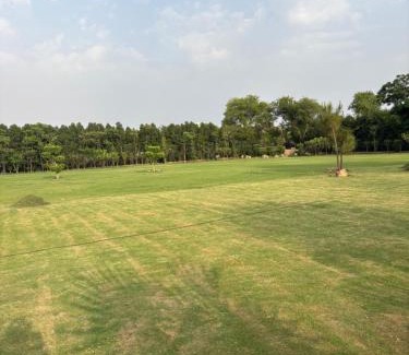 South West House | 4BHK Greenwood Farm And Lawn -Bijwasan I Delhi-Gurgaon Border I 87oo2o5865