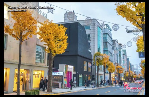 Hannamil-tong Apartment | 4Min Walk - Sinsa Station Line3 - #Gangnam #Garosugil #Central #Clinic