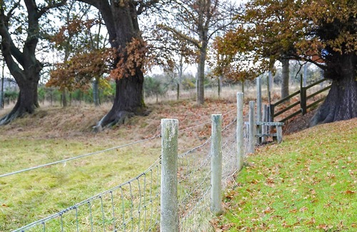 Marybank Cottage | 5 bedroom accommodation in Brahan, near Dingwall