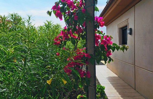 La Oliva House | 5 min to the best surfspots, safe and quiet