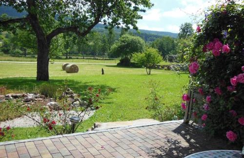 Allenbach Apartment | 5-Sterne- Fewo "Juwel"
