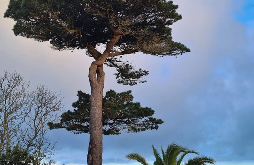 Tregastel House | 50 m from the beach, pretty Breton house in the heart of the Pink Granite Coast