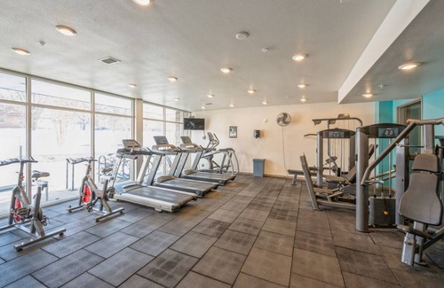 Prospect Park Apartment | 50 m² Apartment ∙ 1 bedroom ∙ 2 guests