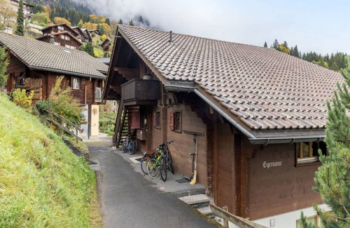 Wengen Apartment | 50 m² Apartment ∙ 1 bedroom ∙ 4 guests