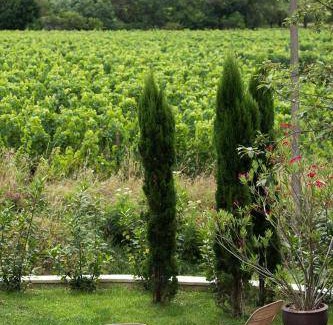 Montagne Bed & Breakfast | 50 m² Bed and breakfast ∙ 3 guests