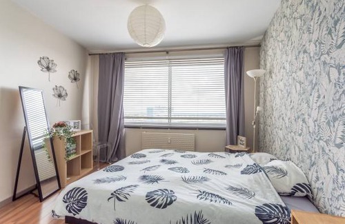 Bourg-l'Eveque Apartment | 54 m² Apartment ∙ 1 bedroom ∙ 2 guests