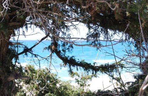 Fontanelle Villa | 6 bed cottage with barbecue garden and parking space 100 meters from the sea