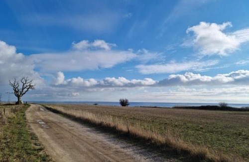 Langeland Municipality House | 6 person holiday home in Rudkøbing