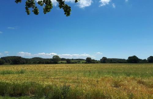 Langeland Municipality House | 6 person holiday home in Rudkøbing