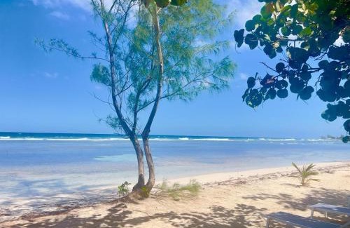 Portmore Resort | 6-Villa Beachfront Resort Up to 12 Guests or Individual Cabins