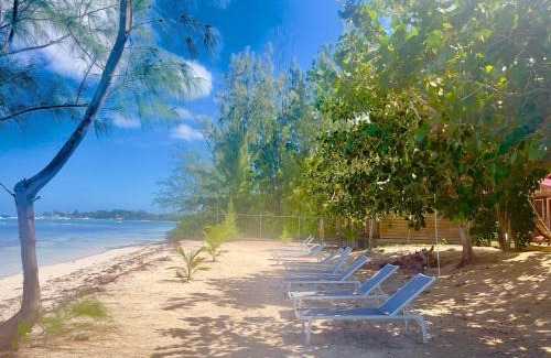 Portmore Resort | 6-Villa Beachfront Resort Up to 12 Guests or Individual Cabins
