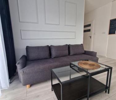 Siedlce Apartment | 60 - Apartamenty Siedlce - Nowy apartament w centrum przy ul 3 Maja 51a