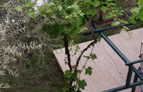 Municipality of Omisalj Apartment | 60 m² Apartment ∙ 1 bedroom ∙ 5 guests