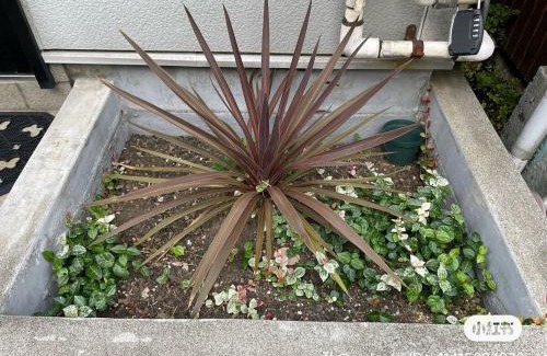 Naka Apartment | 62平米快適滞在!横浜中華街&山手エリアの静かな一軒家