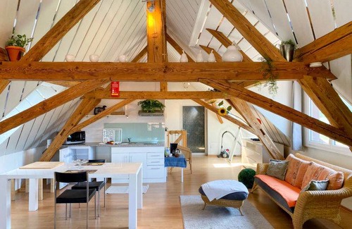 Wangenried Apartment | 63 m² Apartment ∙ 1 bedroom ∙ 2 guests