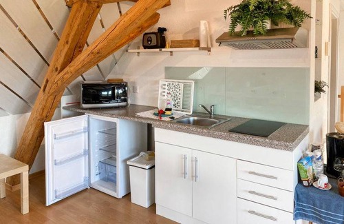 Wangenried Apartment | 63 m² Apartment ∙ 1 bedroom ∙ 2 guests