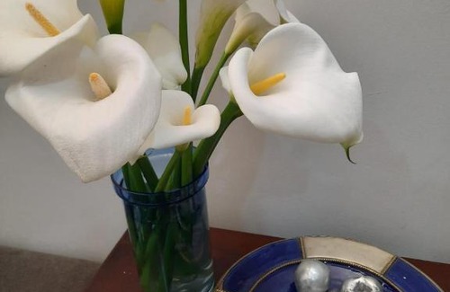 Pretoria Bed & Breakfast | 64 on Malabor