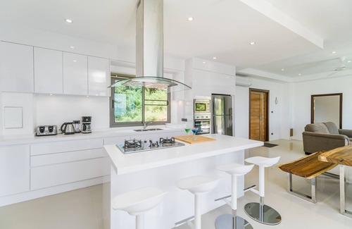 Plai Laem Villa | 7 bedroom villa with sea view and view of Samui elephant Haven elephant