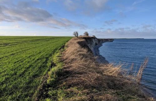 Grenaa House | 7 person holiday home in Grenaa
