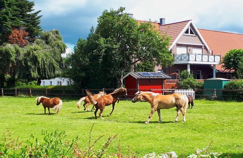 Strackholt Apartment | 72 m² House ∙ 2 bedrooms ∙ 4 guests