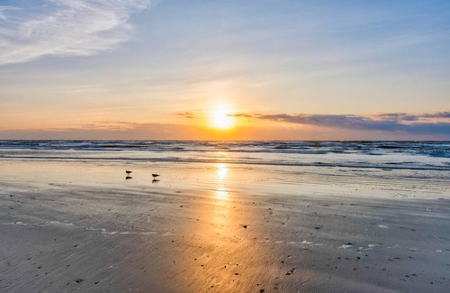 Port Aransas Apartment | 79 m² Apartment ∙ 2 bedrooms ∙ 4 guests