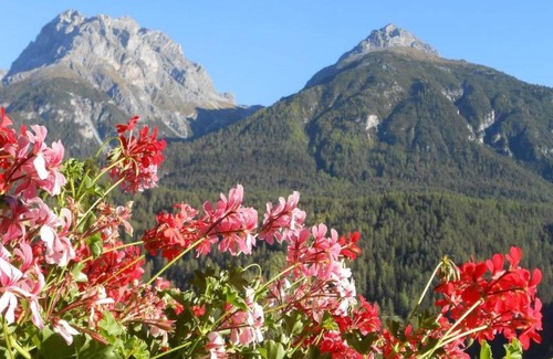 Engadin Scoul Apartment | 80 m² Apartment ∙ 2 bedrooms ∙ 4 guests
