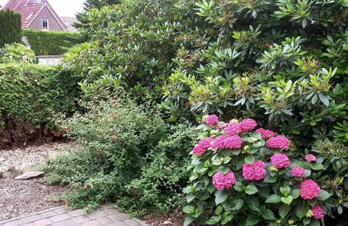 Hage Other | 85 m² Accommodation ∙ 2 bedrooms ∙ 4 guests