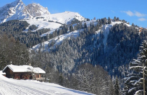 Villars-sur-Ollon Apartment | 85 m² Apartment ∙ 2 bedrooms ∙ 4 guests