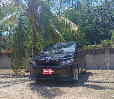 Montego Bay Boat Rental | 876Exec Tours and Private Transportation