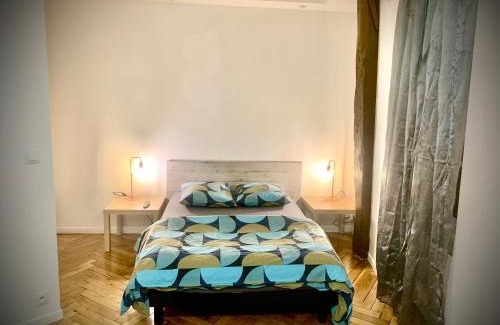Terreaux - Bat d'argent Apartment | 9M en plein centre de Lyon visite à pied