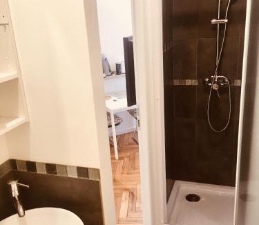 Terreaux - Bat d'argent Apartment | 9M en plein centre de Lyon visite à pied
